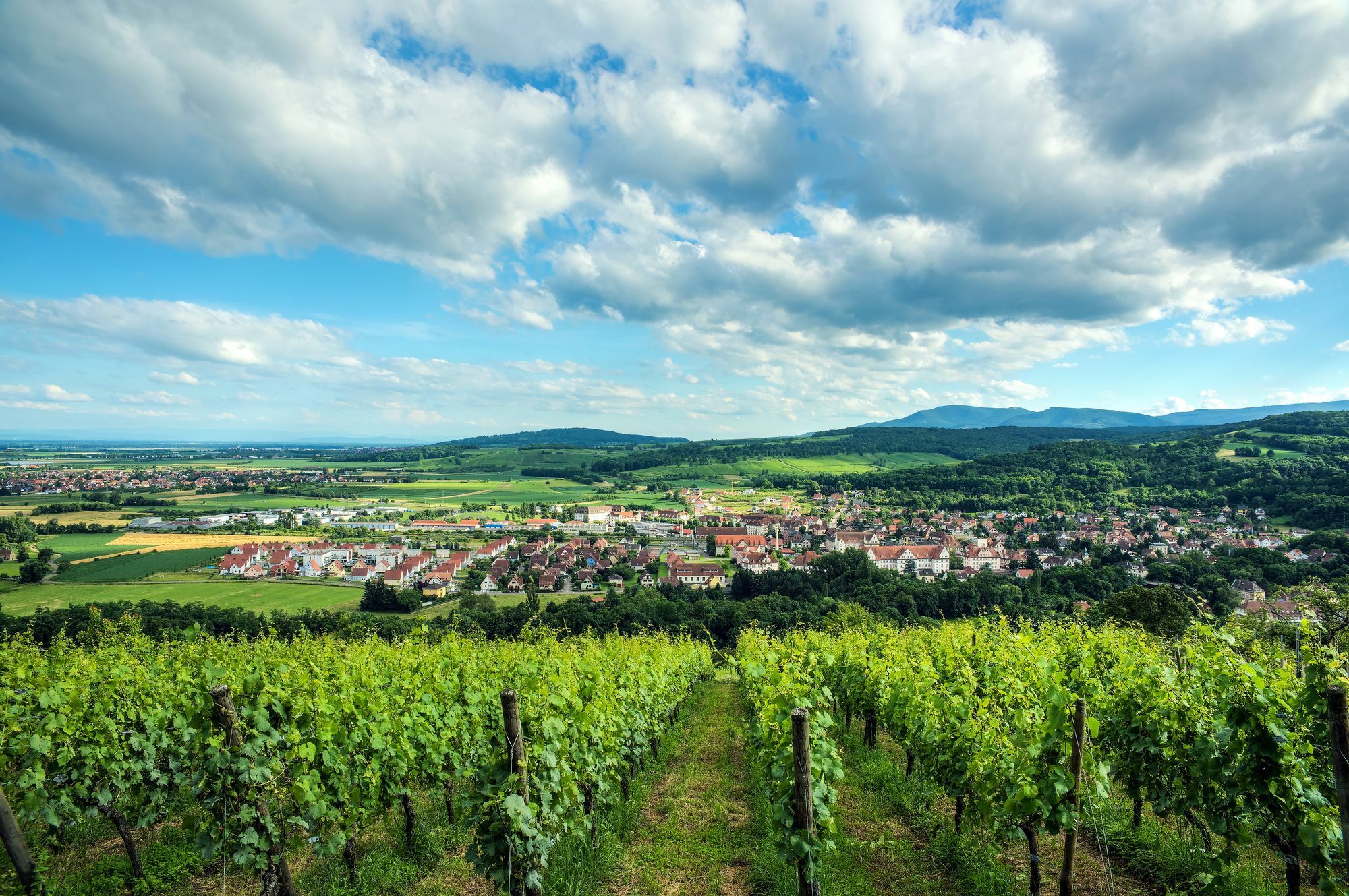 Comfort Aparthotel Mutzig Portes D'Alsace Exterior photo